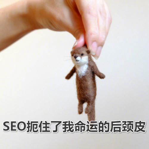 SEO抓住了我命运的后颈皮_meitu_1.jpg