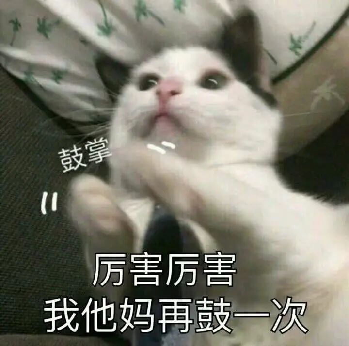 救命！这些神评，我迟早要笑死在评论区文案中...