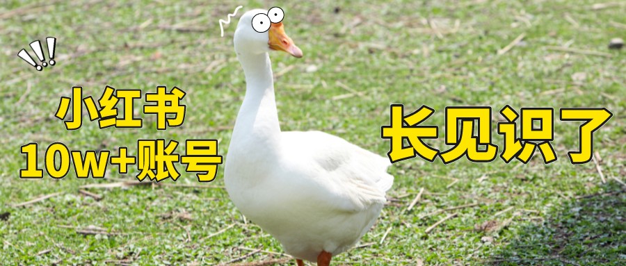 一位水果店销售小哥,怎样做出小红书10W+账号?